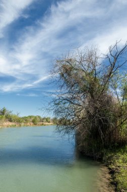 Bozkır, çayır, veld, veldt