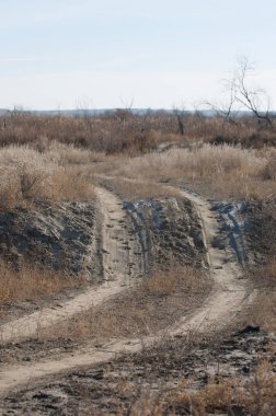 Baharın başında bozkır. Doğa, seyahat