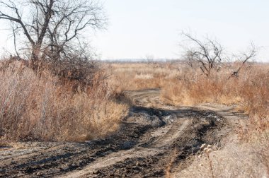 Baharın başında bozkır. Doğa, seyahat