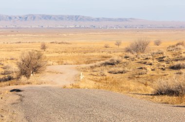 Baharın başında bozkır. Doğa, seyahat