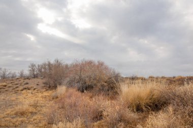 Çöle yakın. Çöl. bozkır.