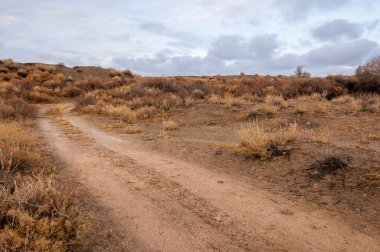 Çöle yakın. Çöl. bozkır.