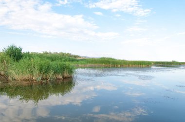 Bozkır yaz. Turgai Kaydet. Çölde Gölü