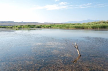 Bozkır yaz. Turgai Kaydet. Çölde Gölü