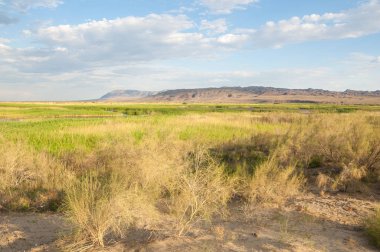 Bozkır yaz. Turgai Kaydet. Çölde Gölü