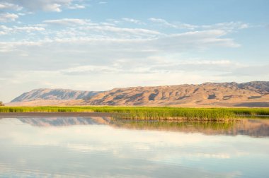 Bozkır yaz. Turgai Kaydet. Çölde Gölü
