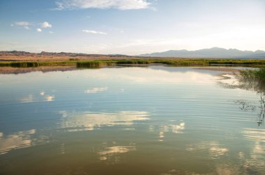 Bozkır yaz. Turgai Kaydet. Çölde Gölü
