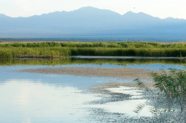 Bozkır yaz. Turgai Kaydet. Çölde Gölü