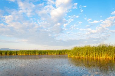 Bozkır yaz. Turgai Kaydet. Çölde Gölü