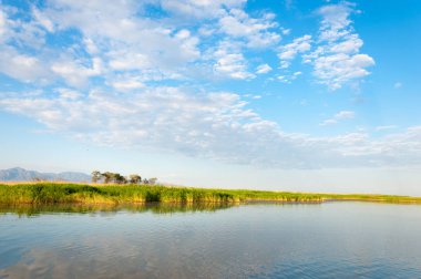 Bozkır yaz. Turgai Kaydet. Çölde Gölü