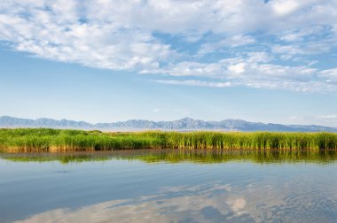 Bozkır yaz. Turgai Kaydet. Çölde Gölü