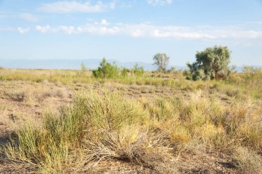 Bozkır yaz. Turgai Kaydet. Çölde Gölü