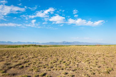Bozkır yaz. Turgai Kaydet. Çölde Gölü