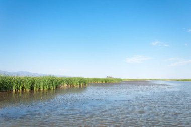 Bozkır yaz. Turgai Kaydet. Çölde Gölü