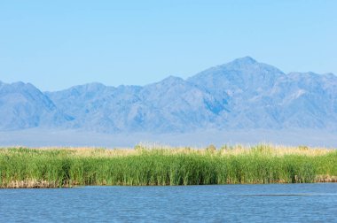Bozkır yaz. Turgai Kaydet. Çölde Gölü