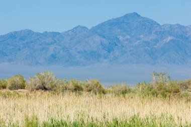 Bozkır yaz. Turgai Kaydet. Çölde Gölü
