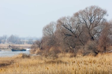 Bozkır, çayır, veld, veldt