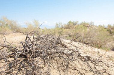 Bozkır yaz. Turgai Kaydet. Çölde Gölü