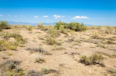 Bozkır yaz. Turgai Kaydet. Çölde Gölü