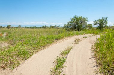 Bozkır yaz. Turgai Kaydet. Çölde Gölü