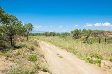 Bozkır yaz. Turgai Kaydet. Çölde Gölü