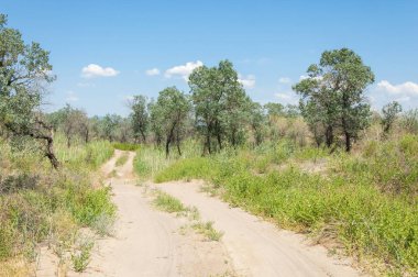 Bozkır yaz. Turgai Kaydet. Çölde Gölü