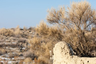 Bozkır, çayır, veld, veldt
