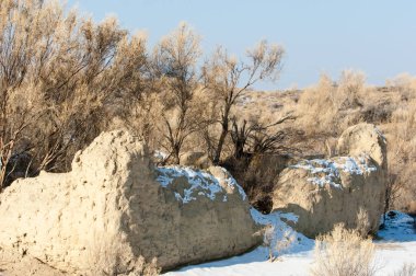 Bozkır, çayır, veld, veldt