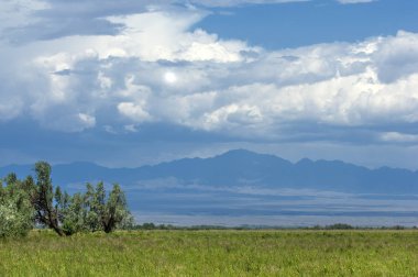 Bozkır, bozkır, bozkır, bozkır. Eş anlamlılar: düzlükler, çayırlar. açık, ekili olmayan ülke veya çayır