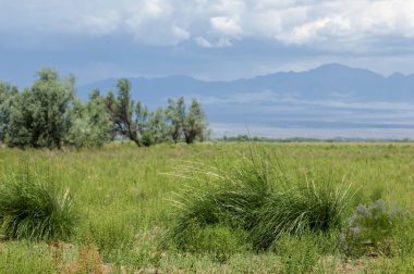 Bozkır, bozkır, bozkır, bozkır. Eş anlamlılar: düzlükler, çayırlar. açık, ekili olmayan ülke veya çayır
