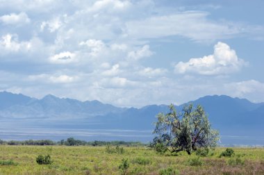 Bozkır, bozkır, bozkır, bozkır. Eş anlamlılar: düzlükler, çayırlar. açık, ekili olmayan ülke veya çayır
