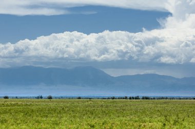 Bozkır, çayır, veld, veldt. 