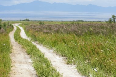 Bozkır, çayır, veld, veldt. 