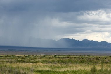 Bozkır, çayır, veld, veldt. 