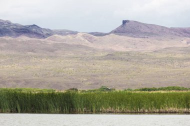Steppe 'deki nehir. Çayır