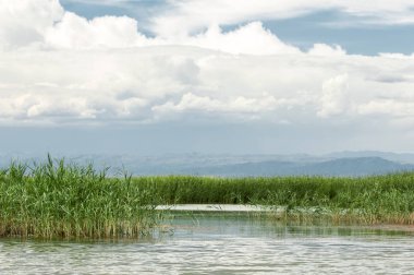 Steppe 'deki nehir. Çayır