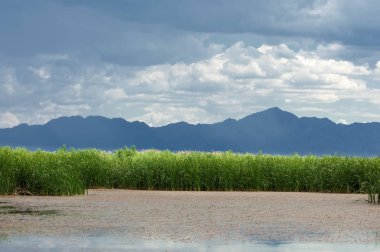 Steppe 'deki nehir. Çayır
