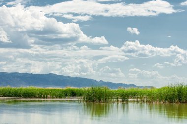 Steppe 'deki nehir. Çayır