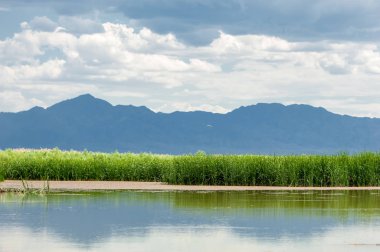 Steppe 'deki nehir. Çayır
