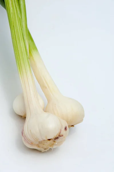 Knoflook. Knoflook is niet gerijpt op de stam van het blad — Stockfoto