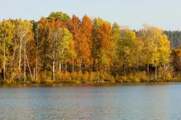 Outono floresta mista refletida na água cores brilhantes de autu — Fotografia de Stock
