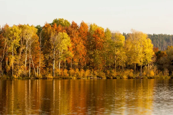 Outono floresta mista refletida na água cores brilhantes de autu — Fotografia de Stock