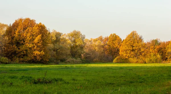 Herbstlandschaft. Herbst buntes Laub über See mit schönen — Stockfoto