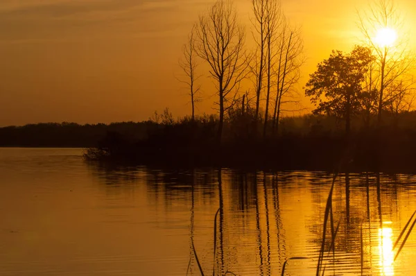 Paesaggio. Tramonto sul lago, alberi caduti riflessi nell'acqua . — Foto Stock