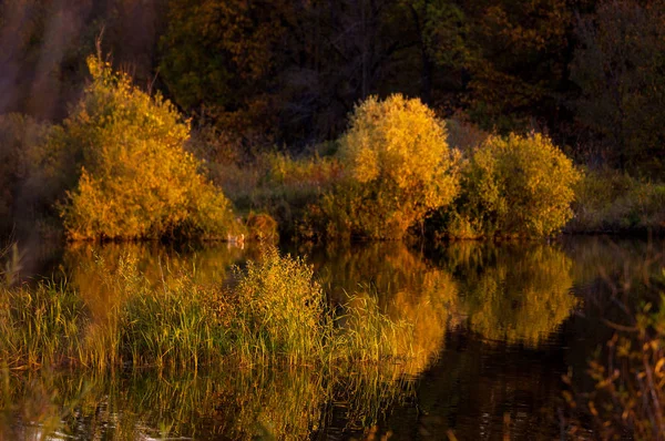 Paysage. Coucher de soleil sur le lac, arbres d'automne reflétés dans l'eau . — Photo