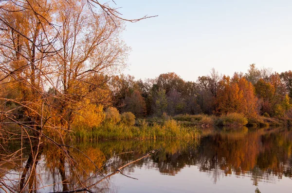 Paisaje. Puesta de sol sobre el lago, árboles caídos reflejados en el agua . — Foto de Stock