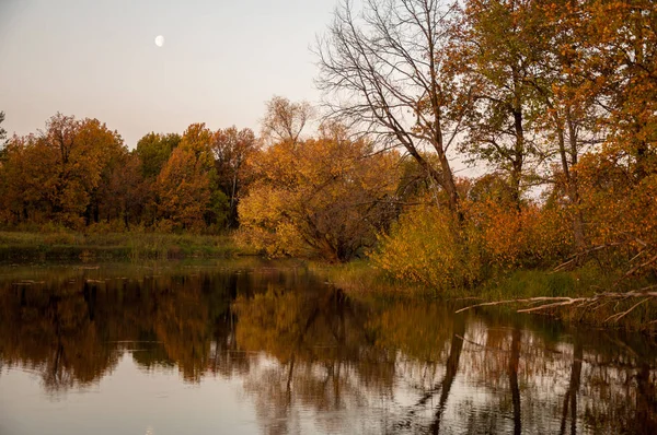 Landscape. Sunset over the lake, fall trees reflected in water. — Stock Photo, Image
