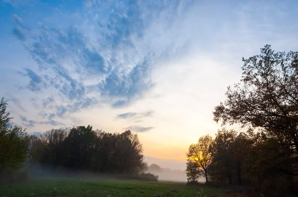 Nebel, Nebel, Dunst, Rauch, Braune, Toman. Nebel im herbstlichen Eichenwald — Stockfoto