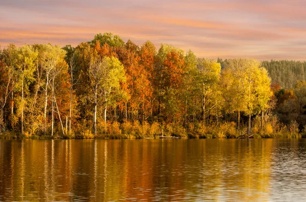 Outono floresta mista refletida na água cores brilhantes de autu — Fotografia de Stock