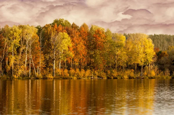 Φθινόπωρο μικτή δάσος αντανακλάται στο νερό φωτεινά χρώματα της autu — Φωτογραφία Αρχείου
